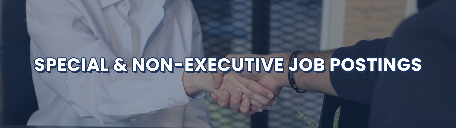 Special and Non-Executive Job Postings