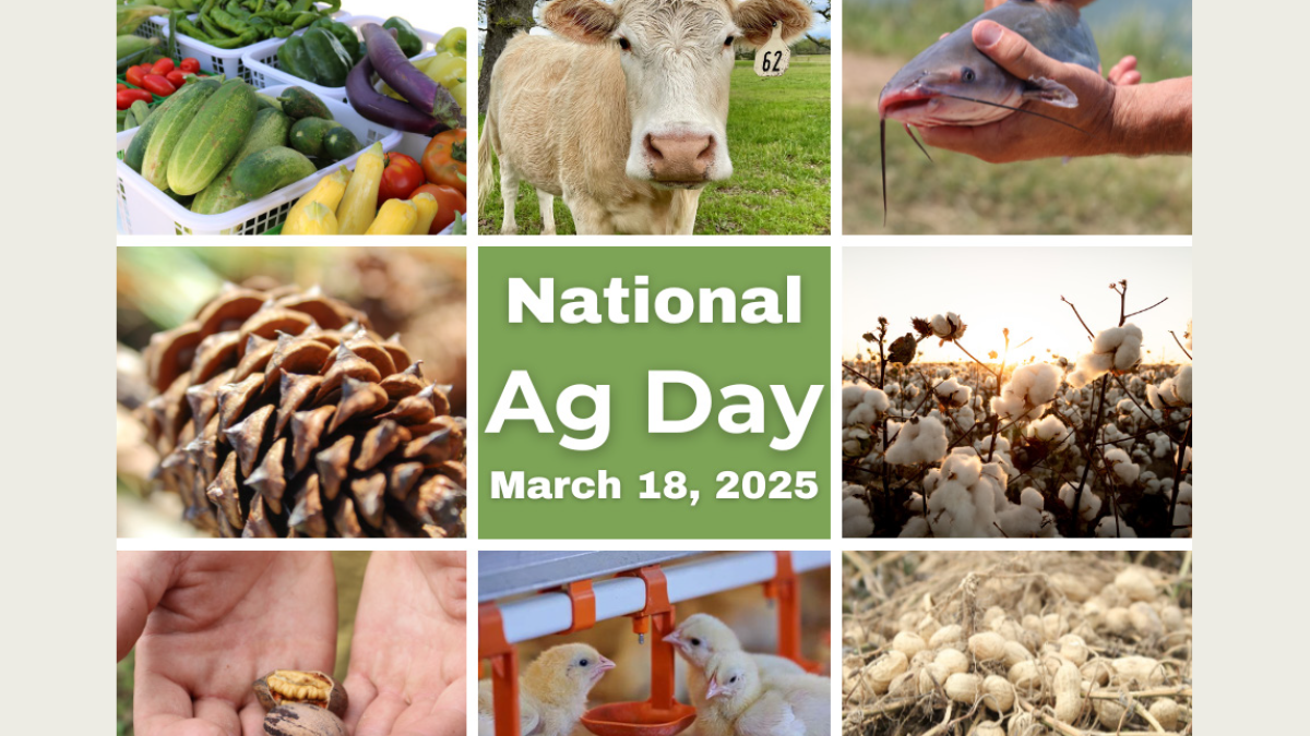 National Agriculture Day